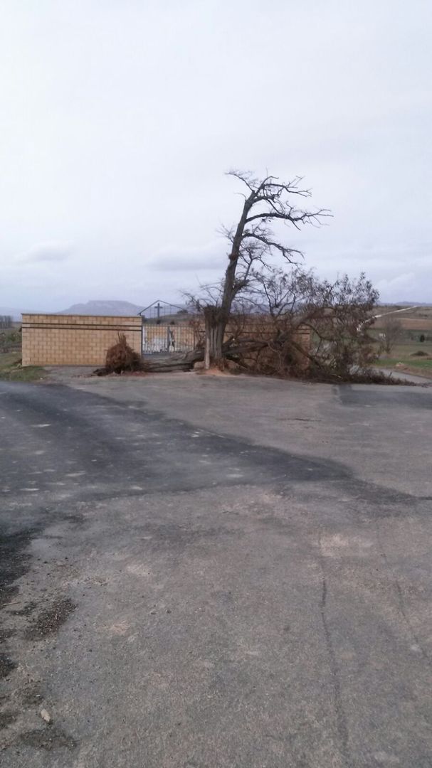 Fuerte vendaval del día 4 de febrero 2017
