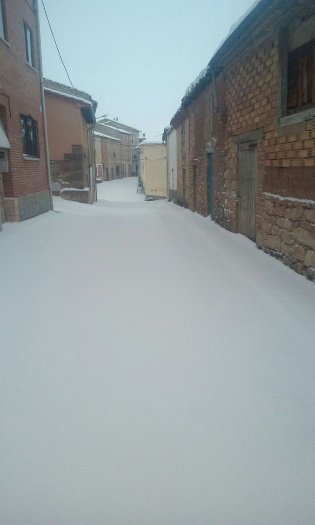Nieve