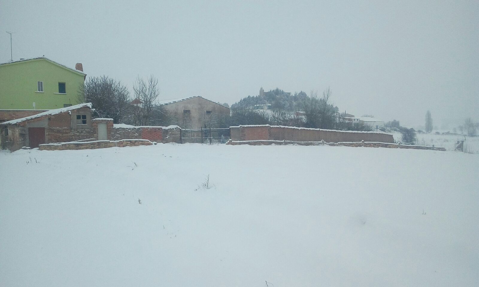 Nieve
