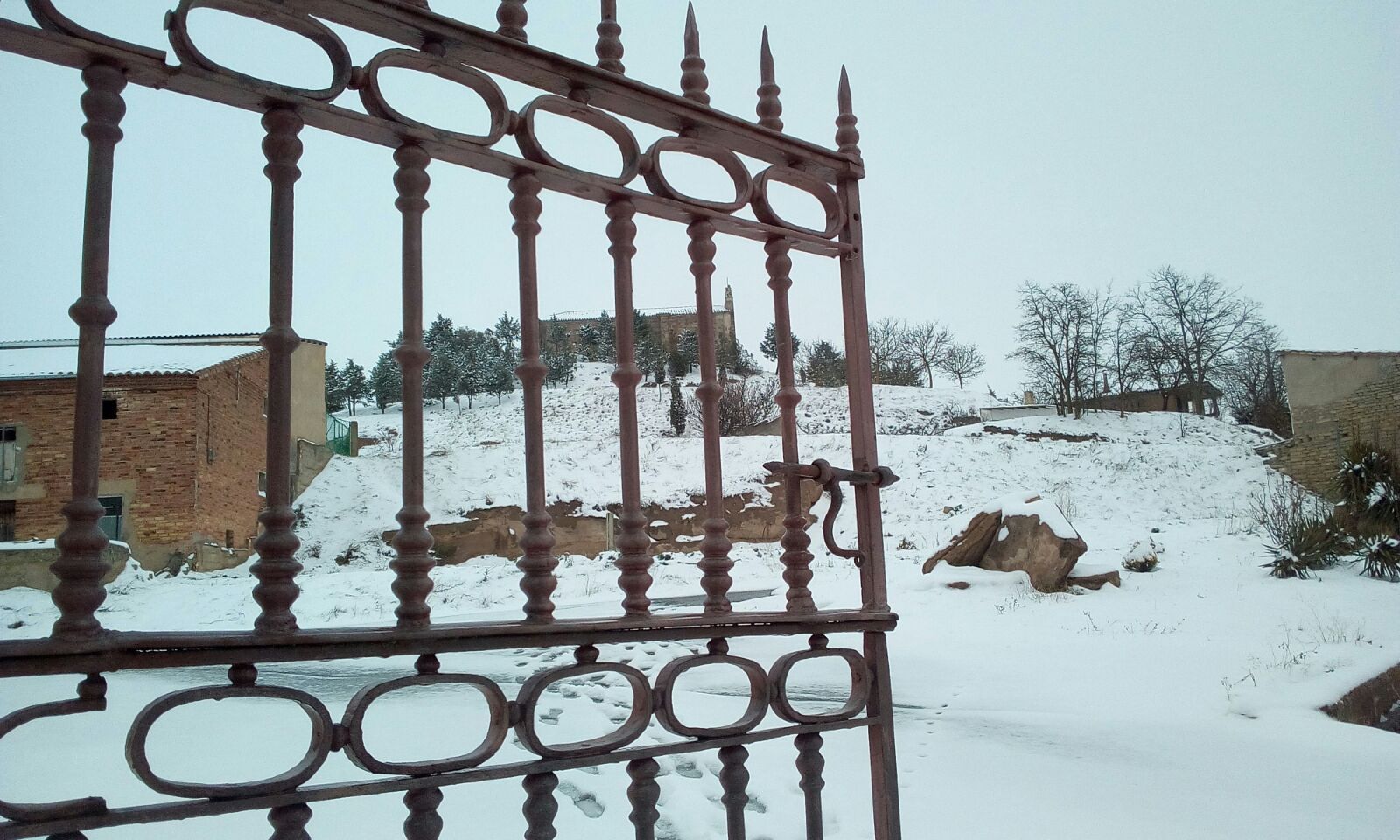 Nieve